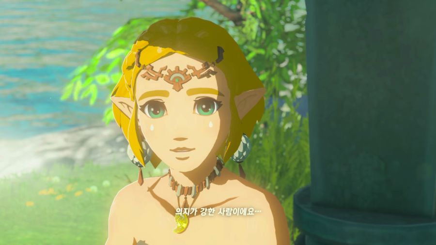 젤다의 전설 티어즈 오브 더 킹덤_53.png