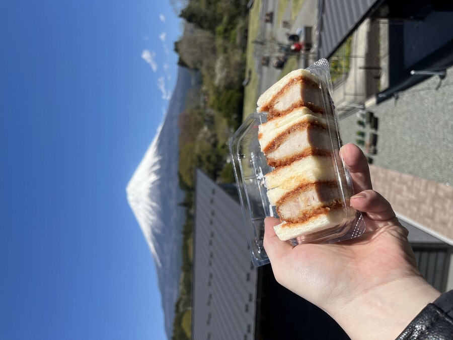 일본여행 - 오사카 ,시즈오카 후지산_22.jpg