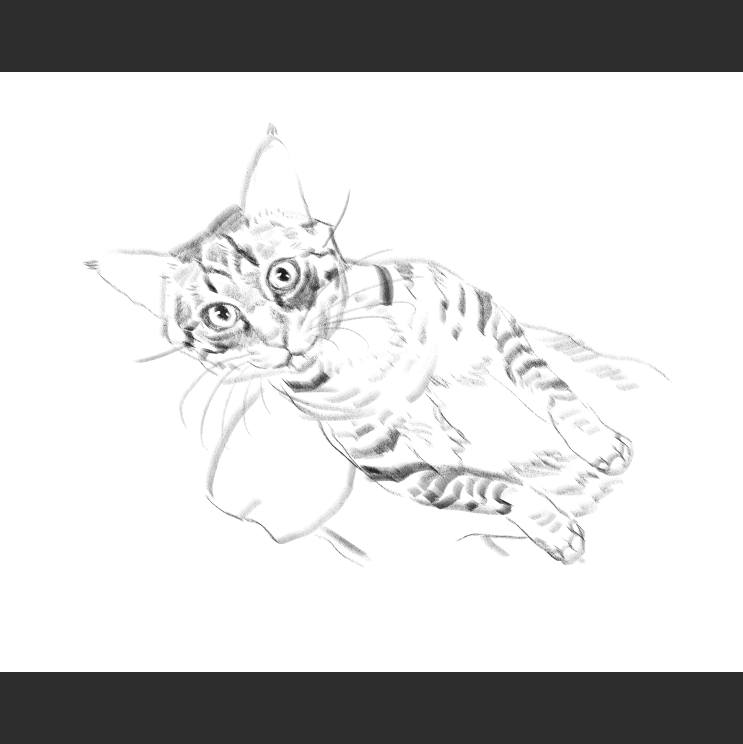 우리집 고양이그림 보고가셈_1.png