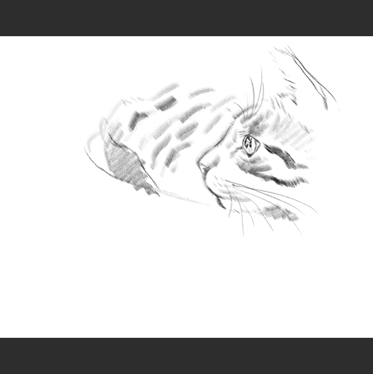 우리집 고양이그림 보고가셈_3.png