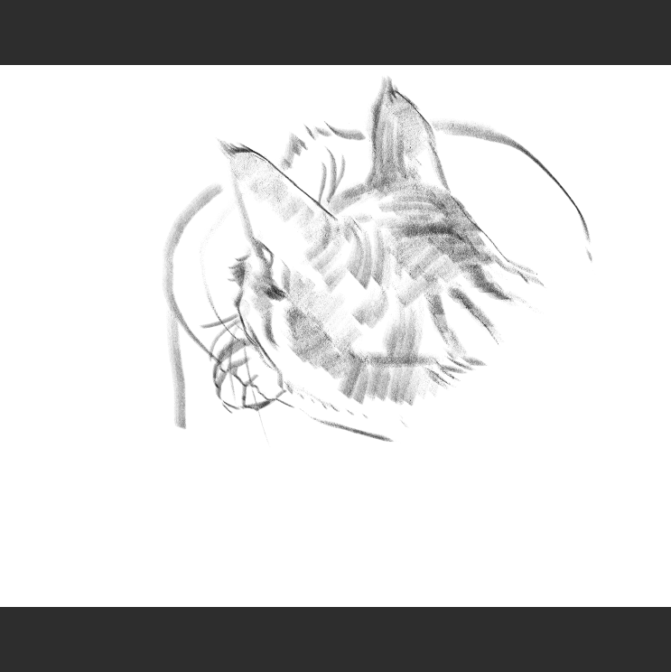 우리집 고양이그림 보고가셈_4.png