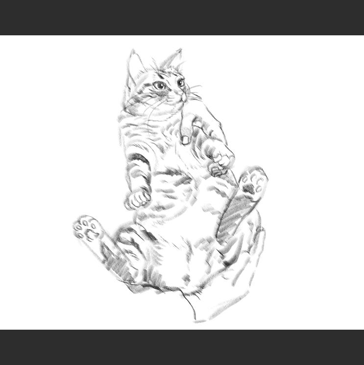 우리집 고양이그림 보고가셈_5.png