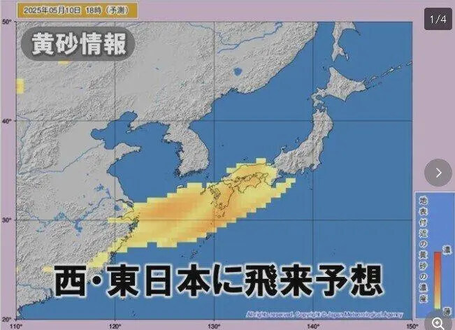 치직… 한국은… 실패했다…_1.jpg