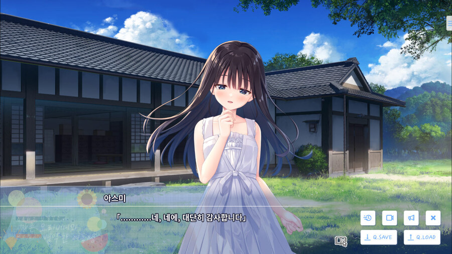 여동생과 함께 시골로 이사가는 게임_18.jpg