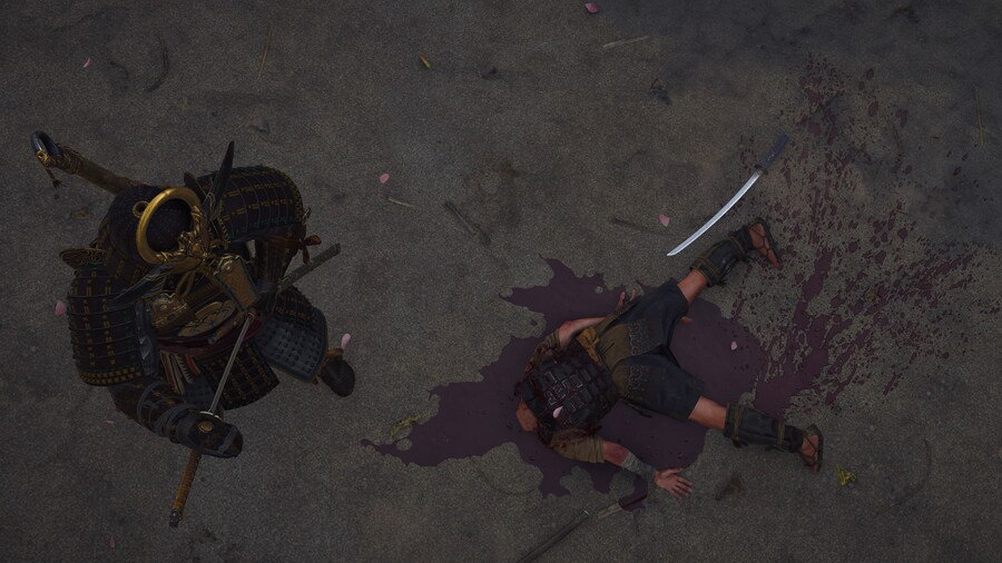 Assassin's Creed® Shadows_9.jpg