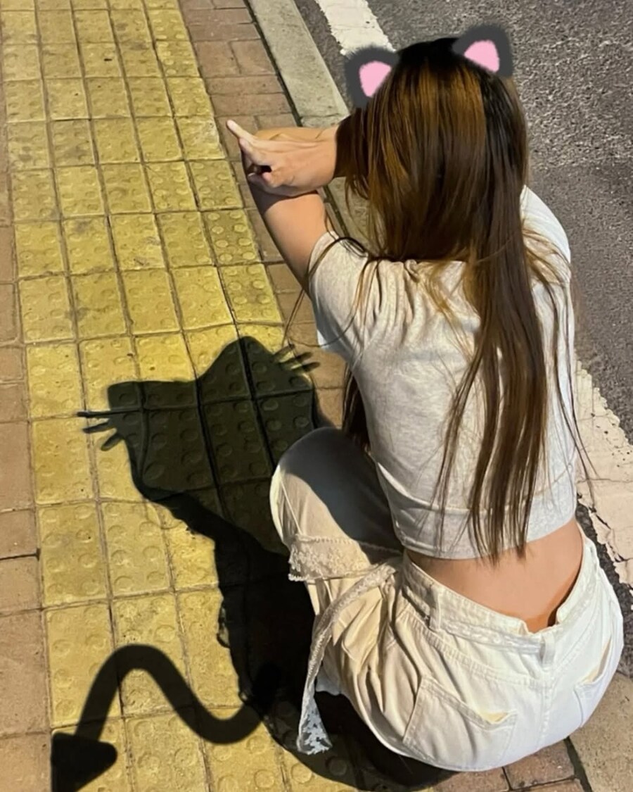 고양이 그림자샷 모음..._6.jpg