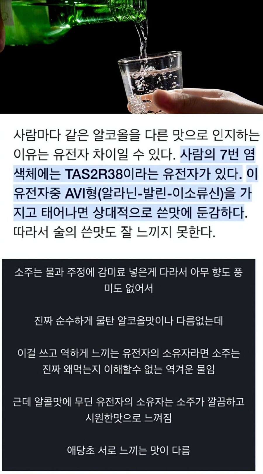 희석식 소주가 역해서 절대 못먹겠다고 하는 이유_1.jpg