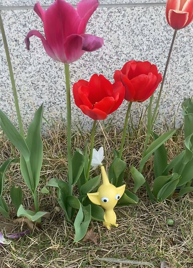 3D 프린터로 만든 노랑 피크민 꽃병_18.png