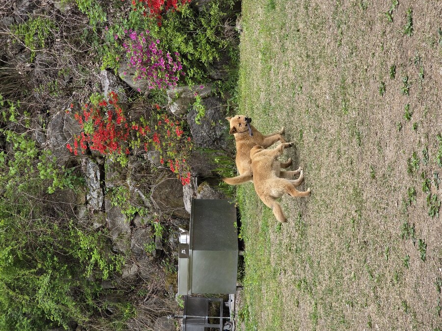 훌쩍 커버린 아가들 또 보고 왔습니다!_1.jpg
