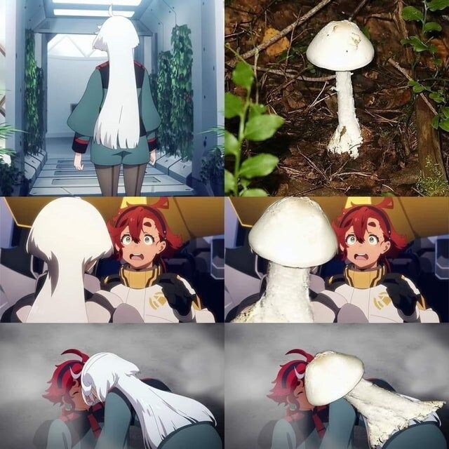 수성) 결국 터진 트레이싱 논란_1.jpg