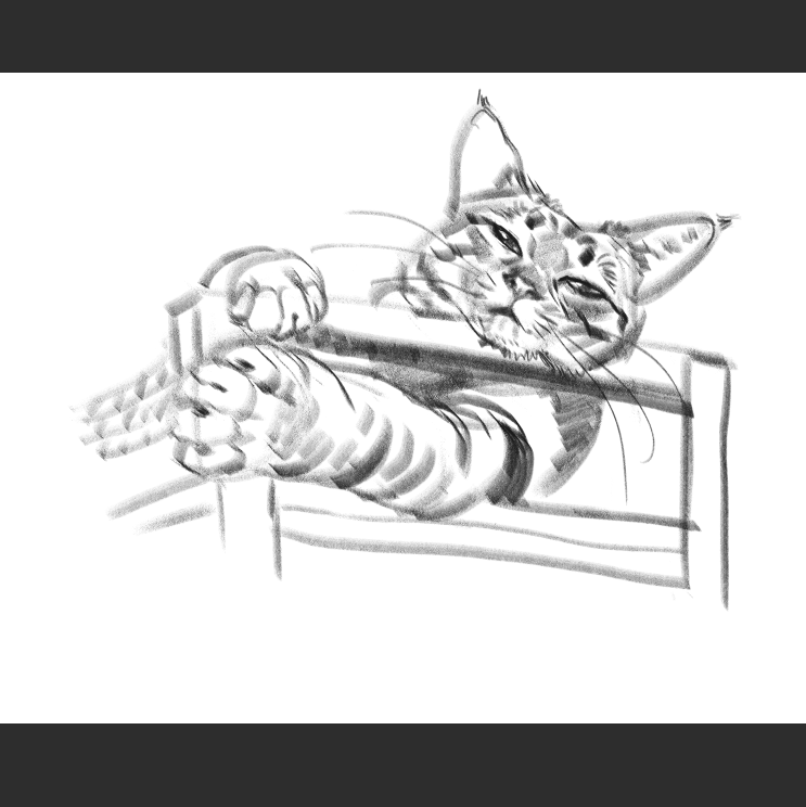 우리집 고양이그림 보고가셈_2.png