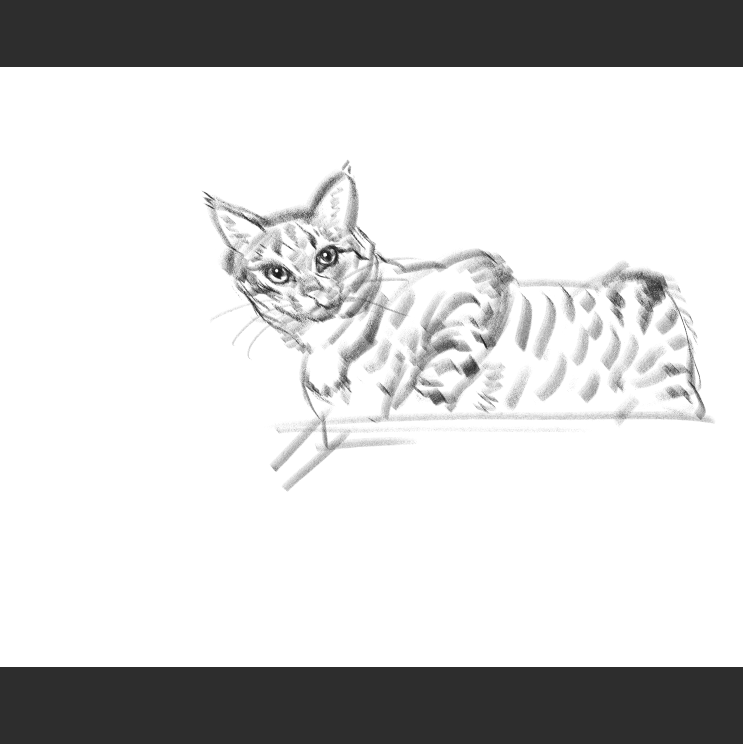 우리집 고양이그림 보고가셈_3.png