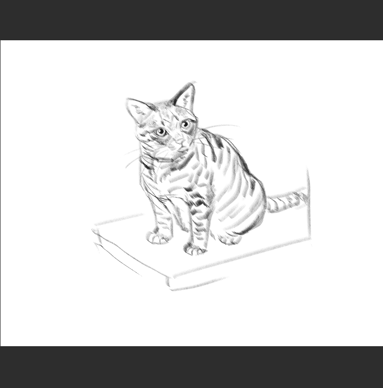 우리집 고양이그림 보고가셈_7.png