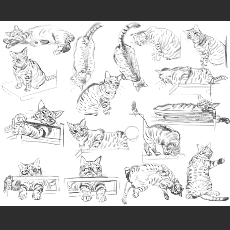 우리집 고양이그림 보고가셈_10.png
