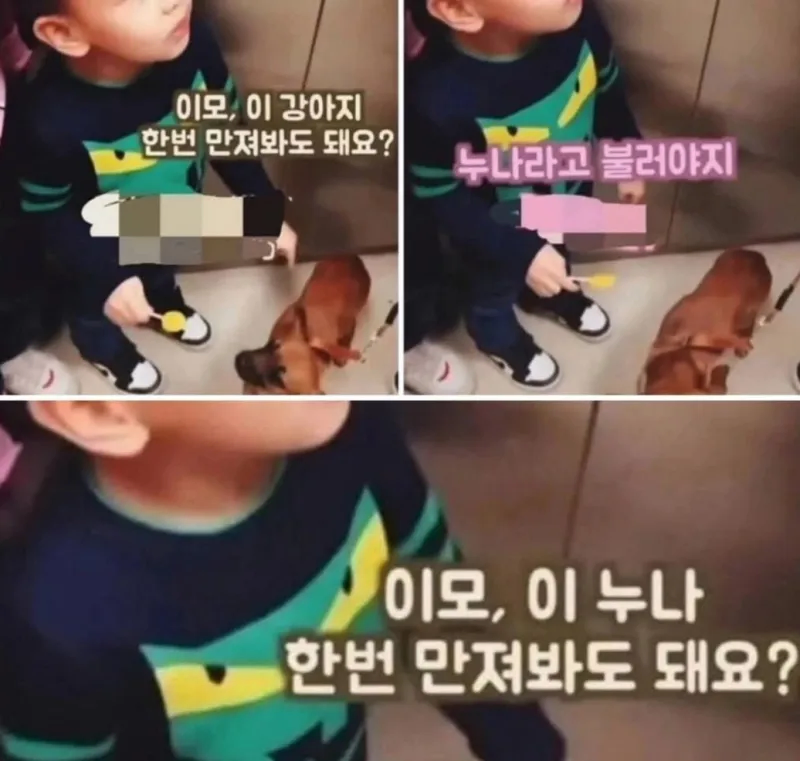 "누나라고 불러야지"_1.webp