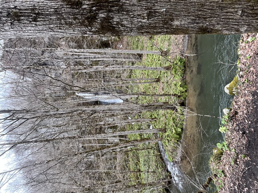 일본여행 - 다자와 호, 도와다 호, 나소계곡_24.jpg