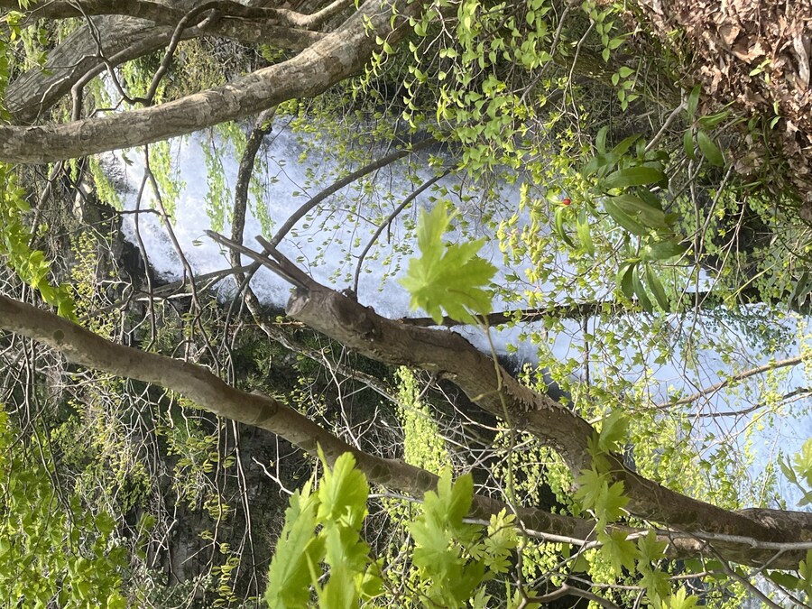 일본여행 - 다자와 호, 도와다 호, 나소계곡_29.jpg