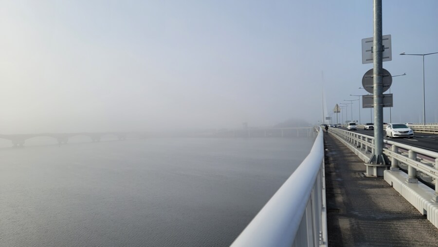 뒤늦게 올리는 3월 화성호 탐조_2.jpg