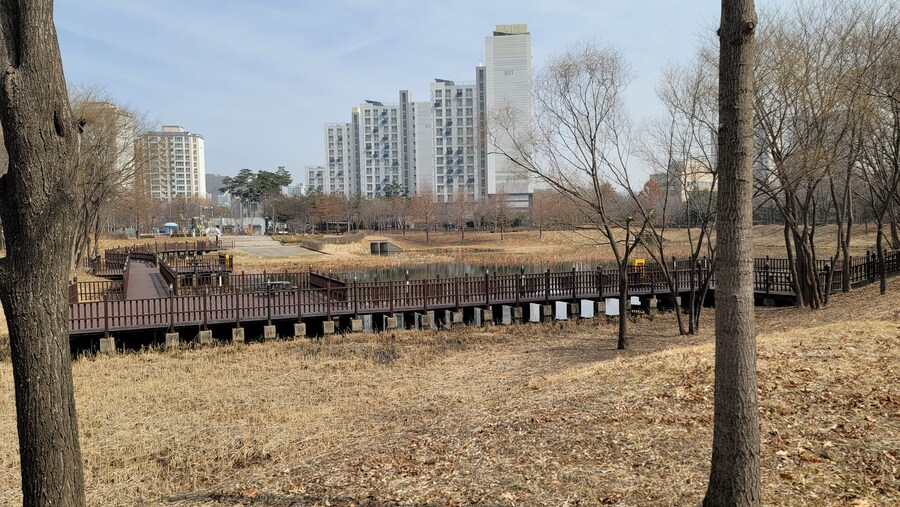 뒤늦게 올리는 3월 화성호 탐조_19.jpg