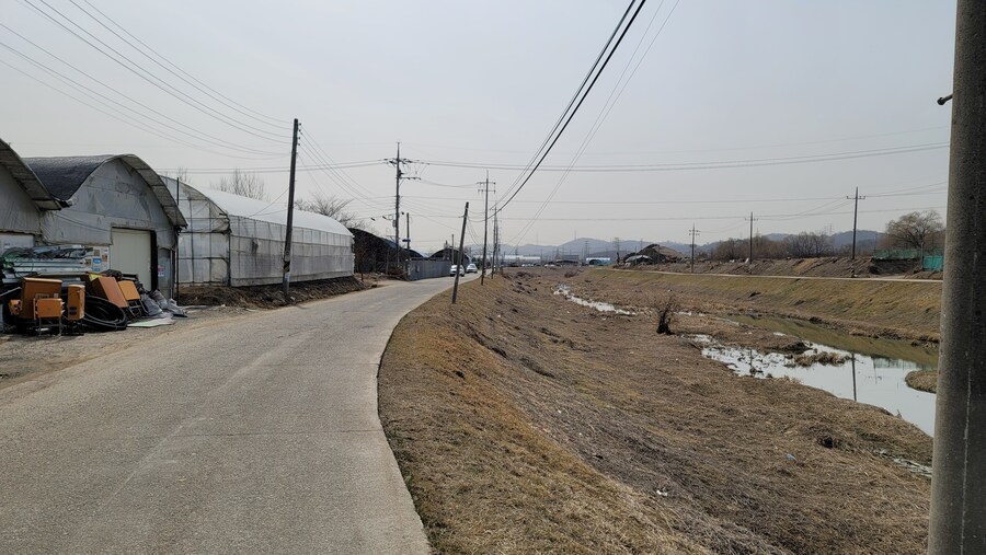 뒤늦게 올리는 3월 화성호 탐조_26.jpg