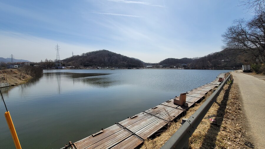 뒤늦게 올리는 3월 화성호 탐조_33.jpg