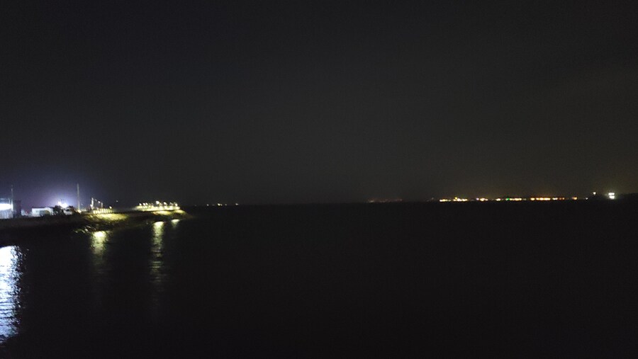 뒤늦게 올리는 3월 화성호 탐조_61.jpg