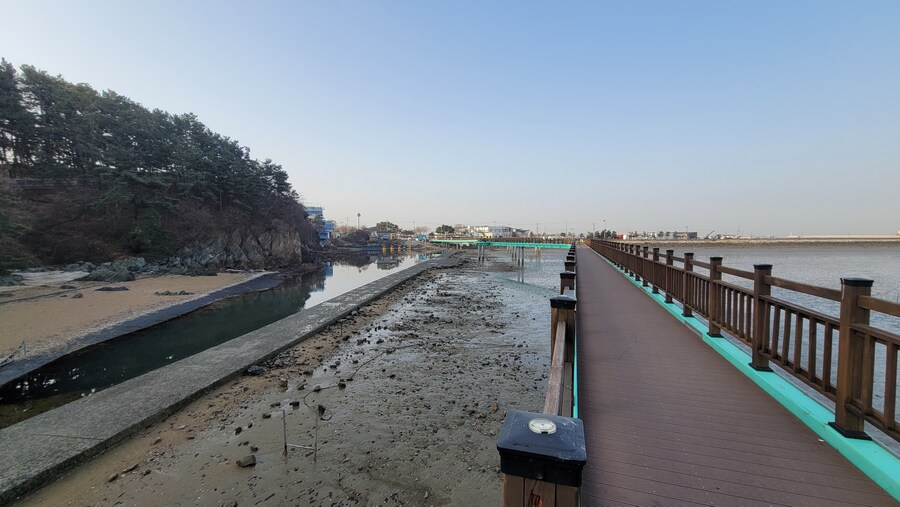 뒤늦게 올리는 3월 화성호 탐조_69.jpg