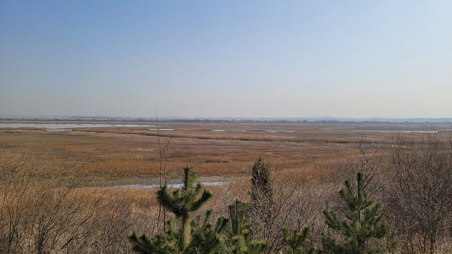 뒤늦게 올리는 3월 화성호 탐조_96.jpg