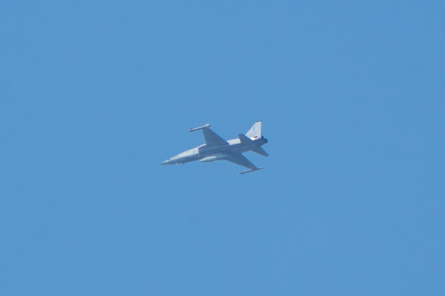 뒤늦게 올리는 3월 화성호 탐조_110.jpg