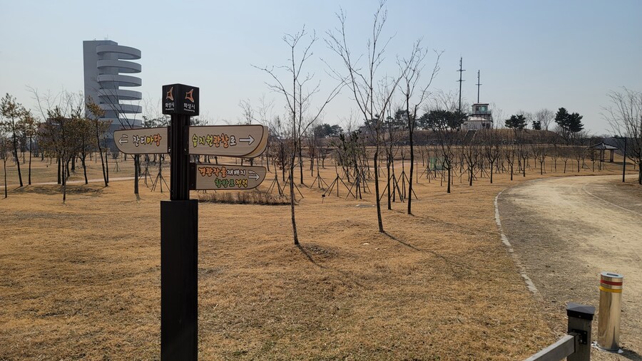 뒤늦게 올리는 3월 화성호 탐조_111.jpg