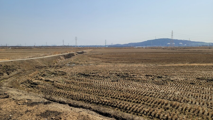 뒤늦게 올리는 3월 화성호 탐조_115.jpg