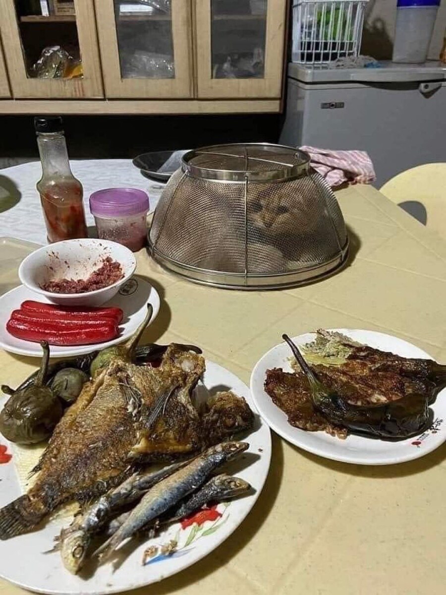 불편해보여도 상호합의 하에 이러고 있는겁니다