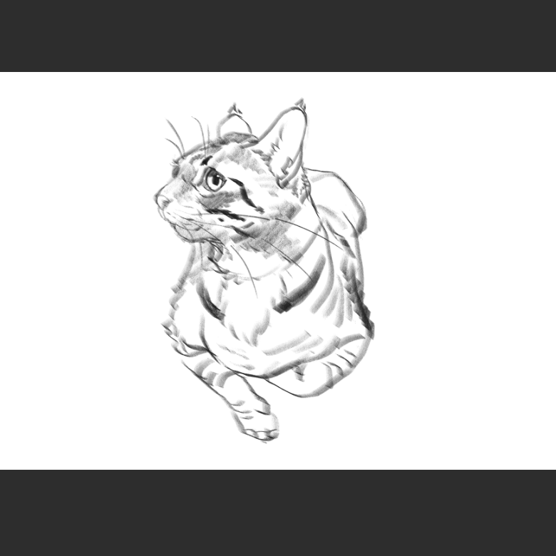 우리집 고양이그림 보고가셈_2.png