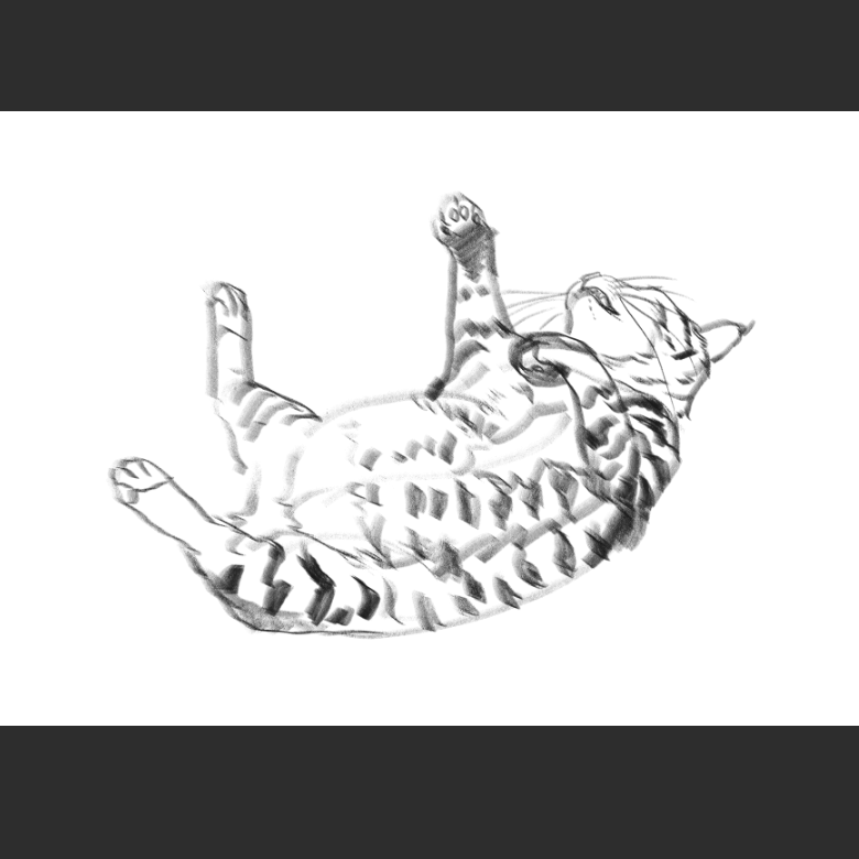 우리집 고양이그림 보고가셈_5.png