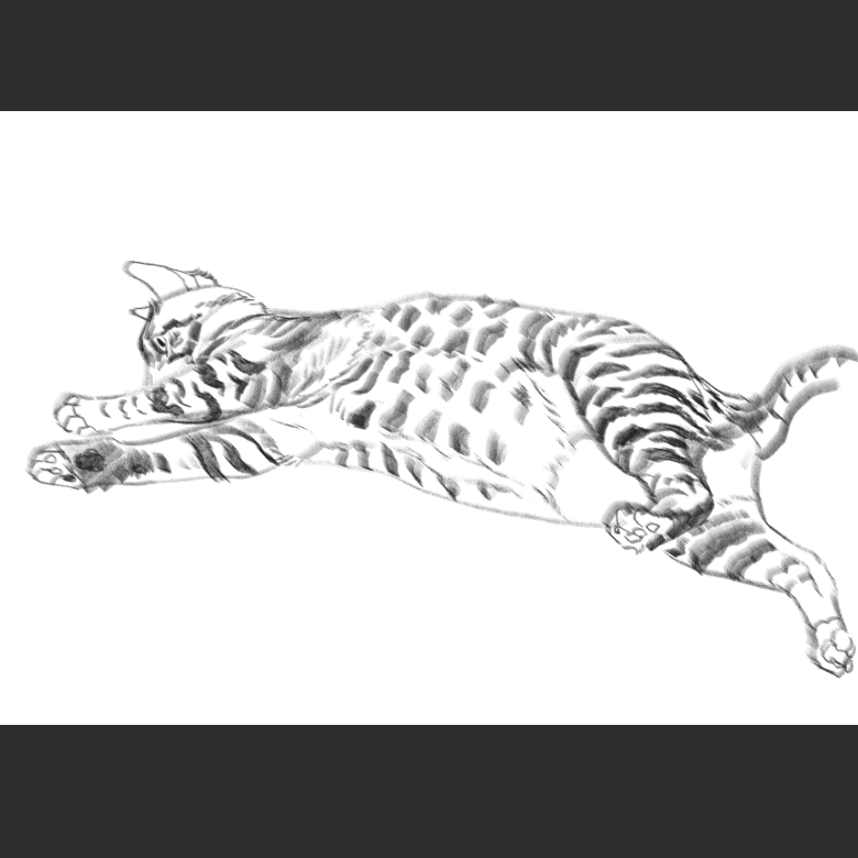 우리집 고양이그림 보고가셈_8.png