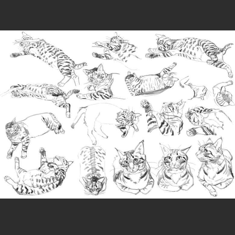 우리집 고양이그림 보고가셈_10.png