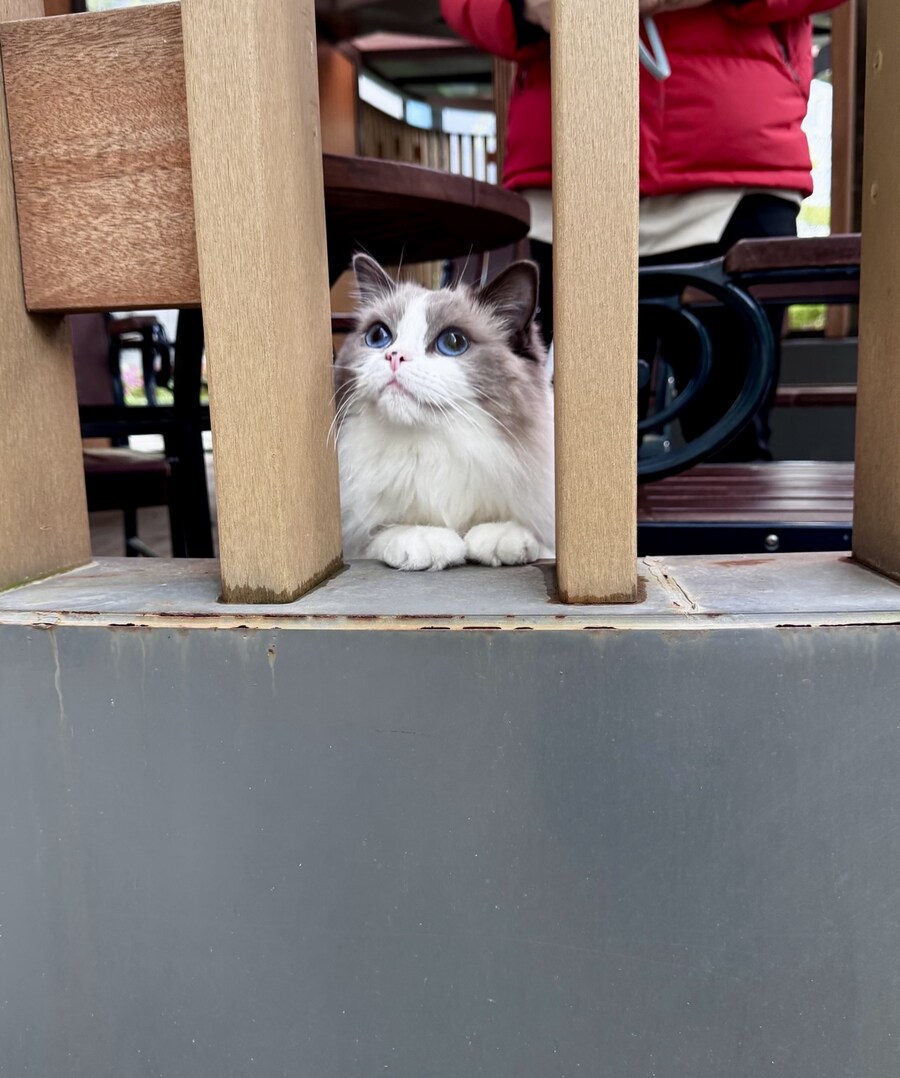 5월의 록희!_3.jpg