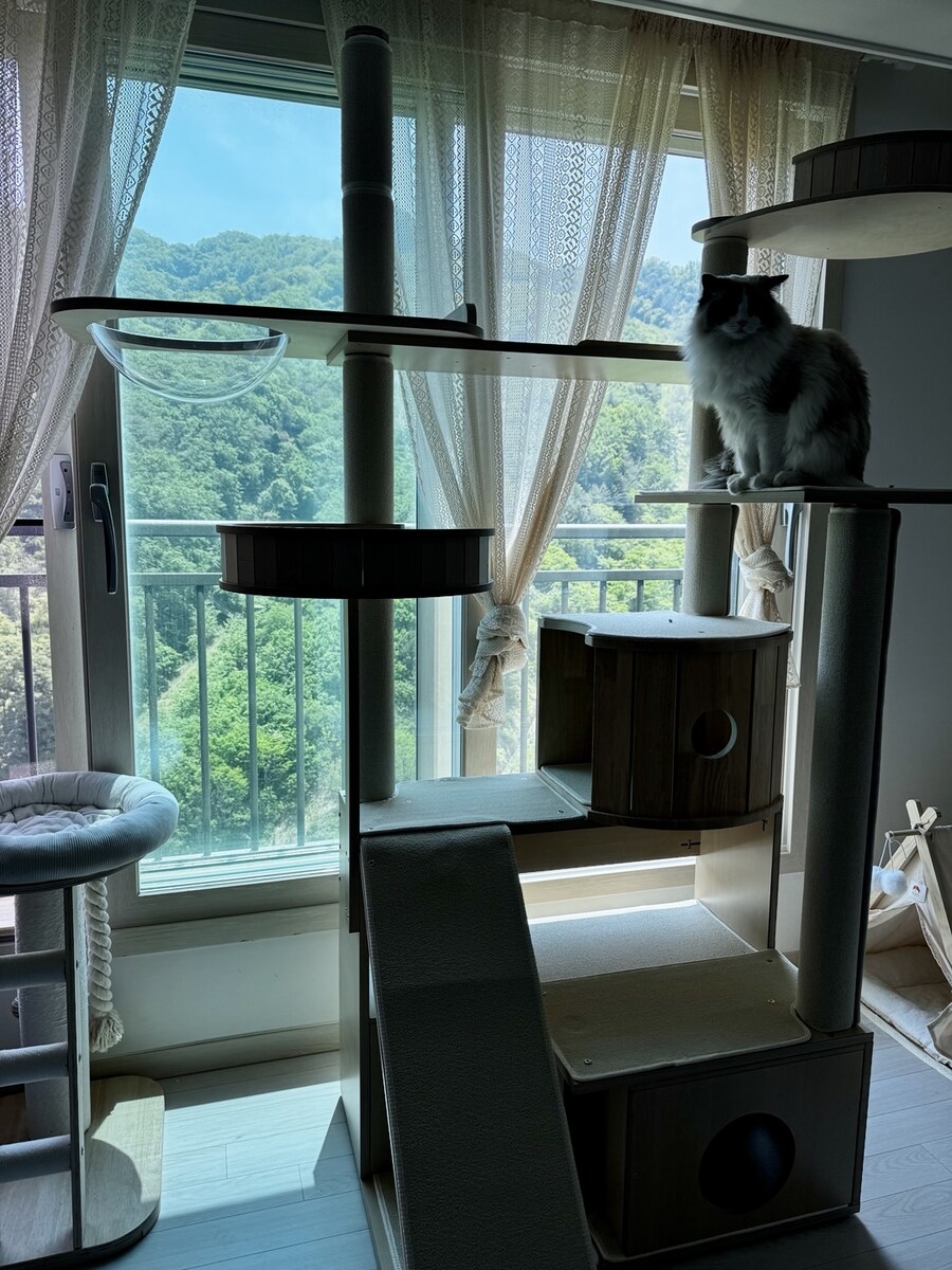 5월의 록희!_7.jpg