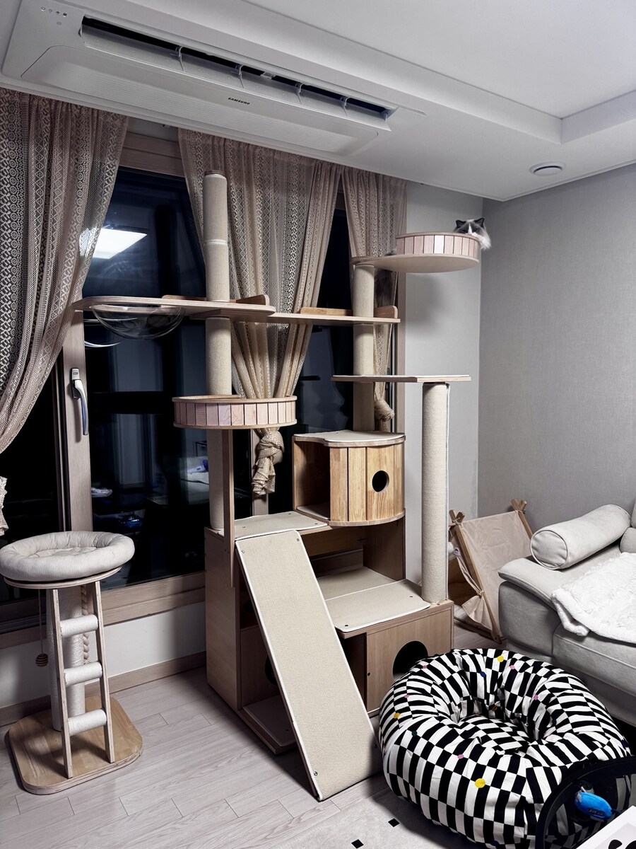 5월의 록희!_8.jpg