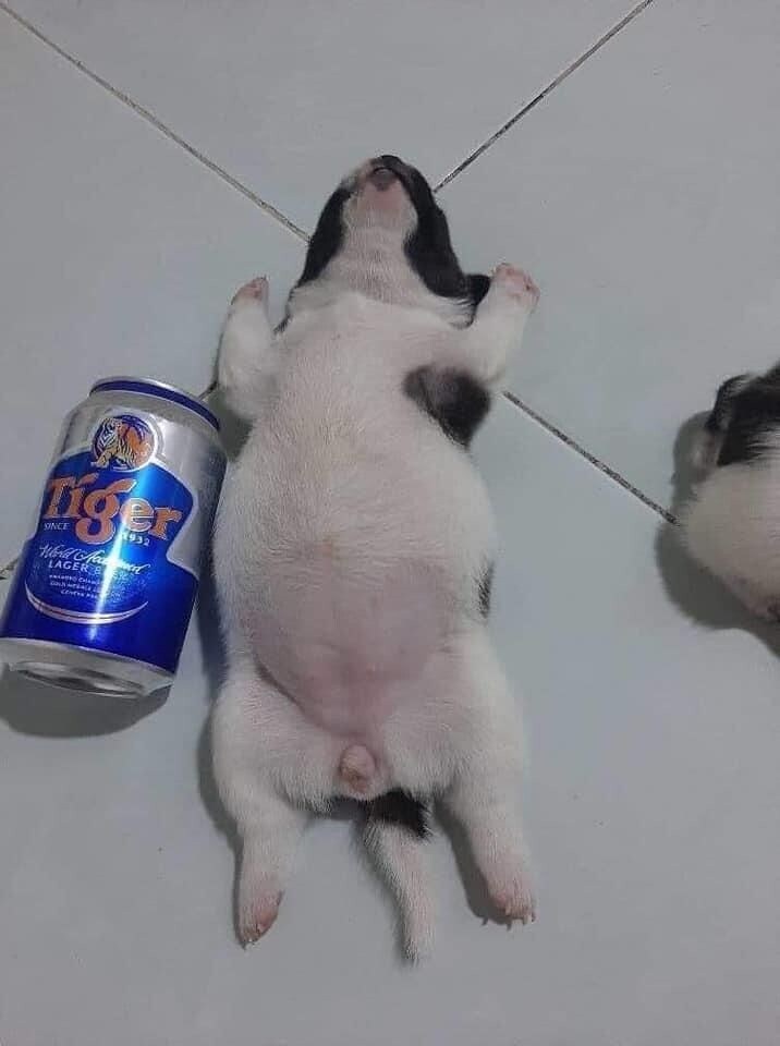 대학 새내기 mt_3.jpg