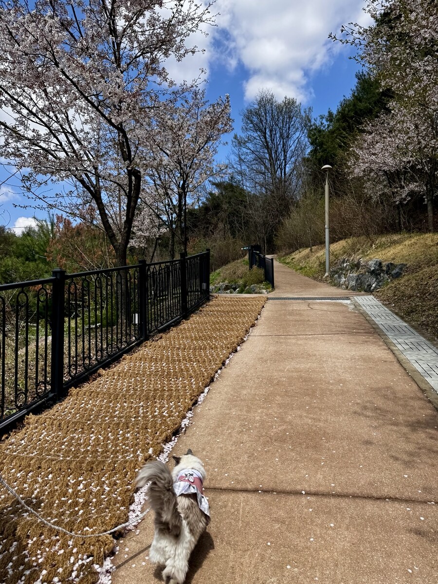 5월의 록희!_4.jpg