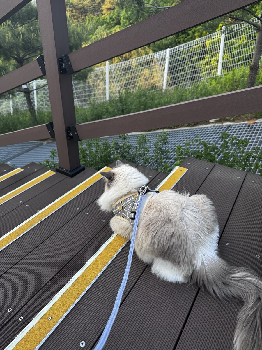 5월의 록희!_6.jpg