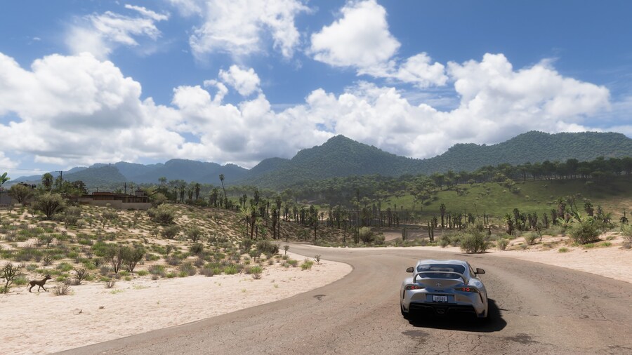 Forza Horizon 5_3.jpg