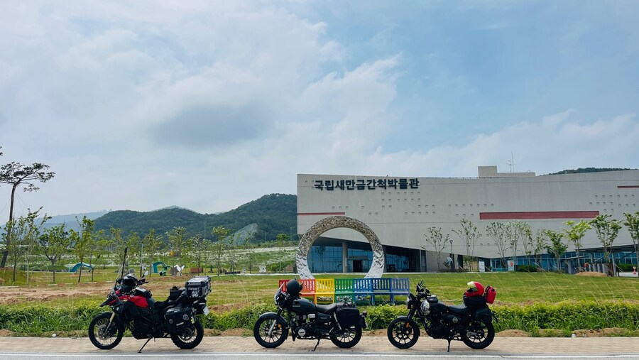 고창 작약꽃 밭_3.jpg