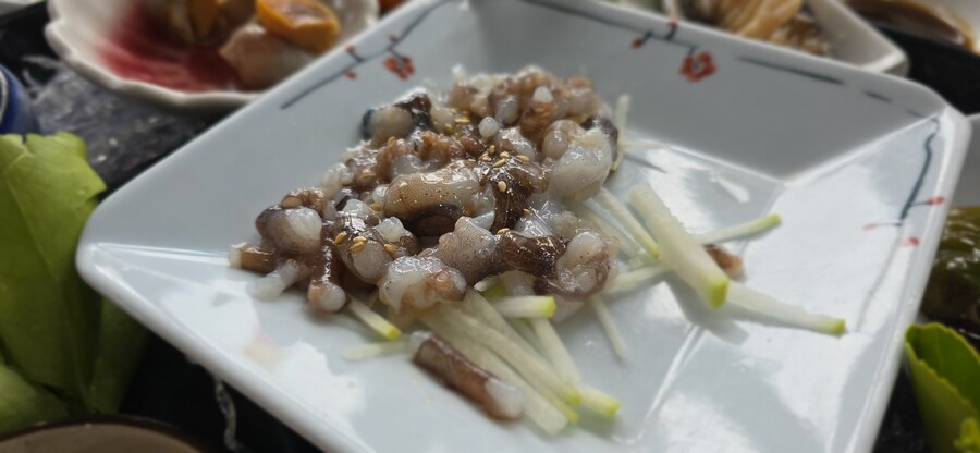 ㅋㅋㅋ 고모 생신이라 대명항(김포) 왔다 ㅋㅋ 근데 고모가_2.jpg