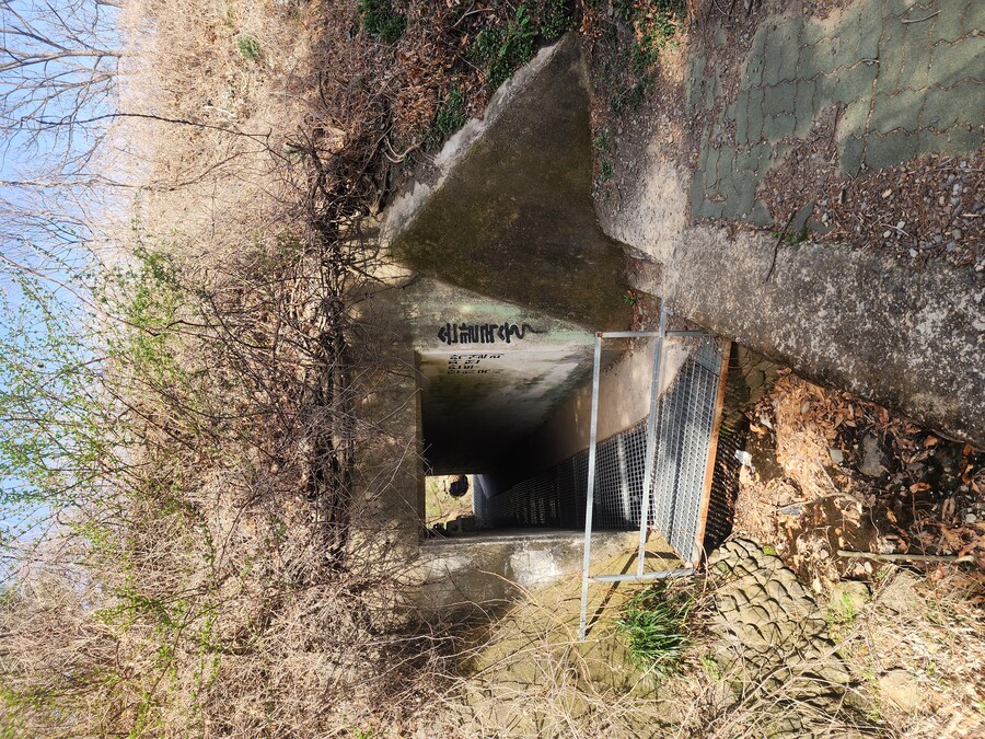 경주 여행가서 먹은 것들_19.jpg