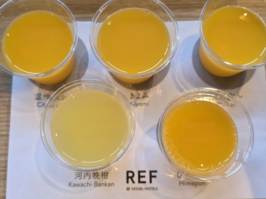 마쓰야마 2박 3일 여행기 겸 잡다하게 먹은 것들_32.jpg