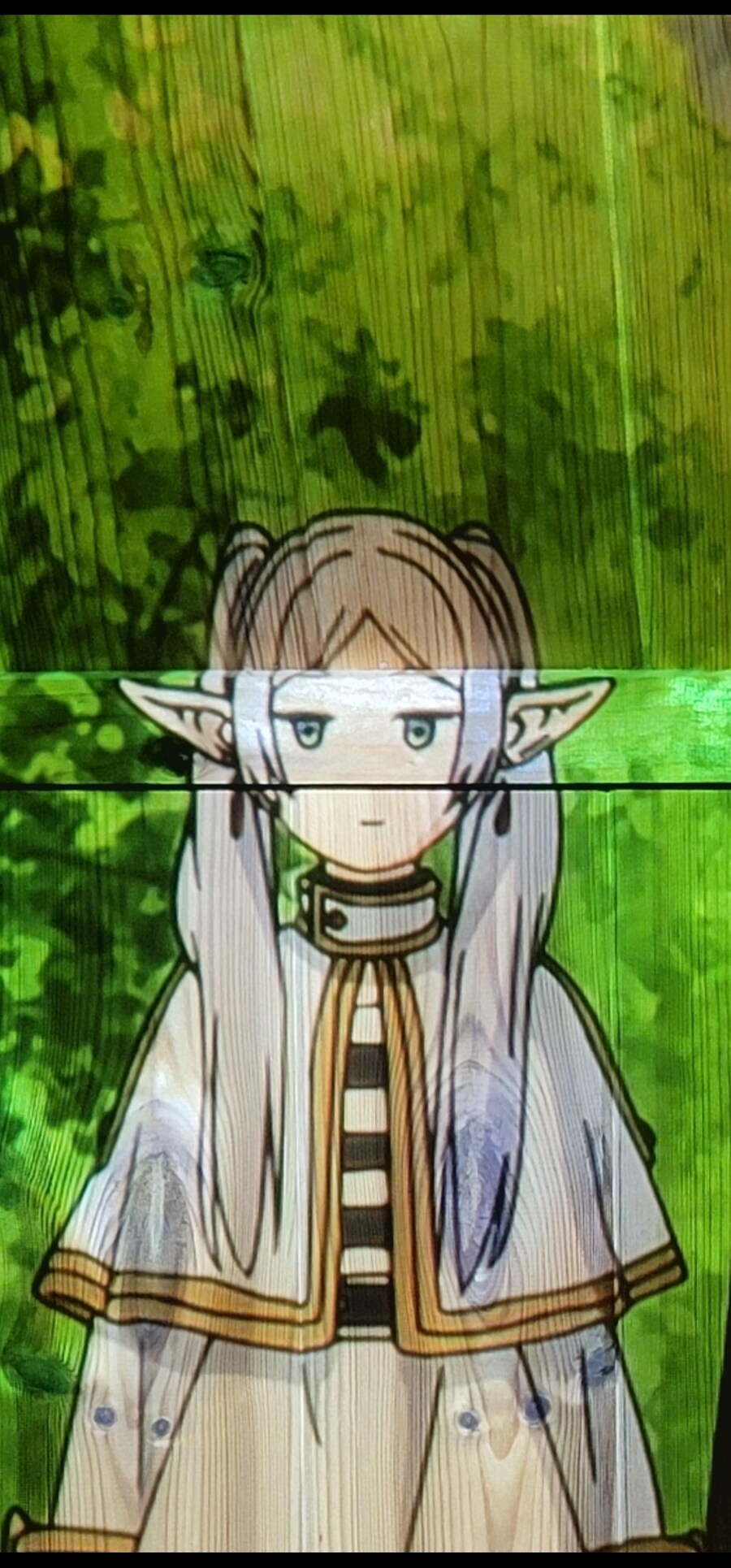 자라_1.jpg