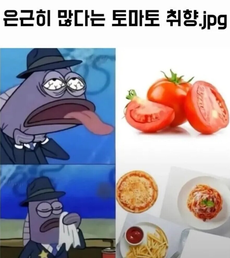 은근히 많다는 토마토 취향_1.jpg