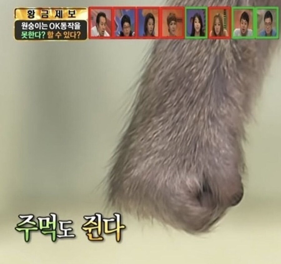 원숭이와 3초 이상 눈을 마주치지 마세요_2.png